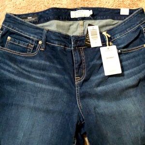 Torrid Jeans